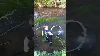 River dipping for mini species on the River Asker, Bridport.