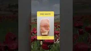 5 Alternative Sostenibili Senza Plastica | Zero Waste Tips ♻️🌿