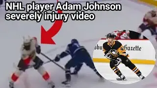 Former NHL player Adam Johnson severely injured after cut to neck during game in Britain&rsquo;s league