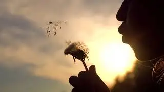 ☚✿☛ Adam Bowen - La Alahambra ☚✿☛