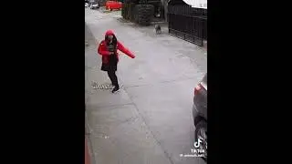 Stray dog saves life girl 👧