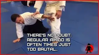 Finding Aikido Too Aggessive?
