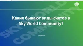 Какие бывают виды счетов в Sky World Community?