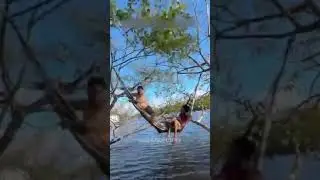 Kegagalan epik #lucu #video #lelucon #tranding
