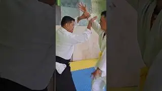 #aikido #aikidotechniques #aikidokids #aikidotraining #aikidotraining #aikidodojo