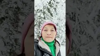 A Magical Winter Forest in Sweden