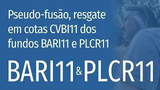 Pseudo-fus&atilde;o BARI11 e PLCR11 no CVBI11: imposto e escritura&ccedil;&atilde;o