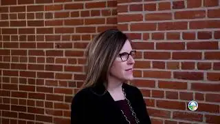 Representative Ann Williams Sponsors the Clean Energy Jobs Act