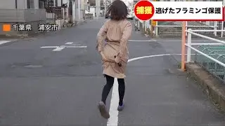漏らした女子アナ