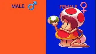 Sonic The hedgehog Vs Supermario Bros gender swap edit