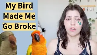 How Much Does It REALLY Cost To Own A Bird?
