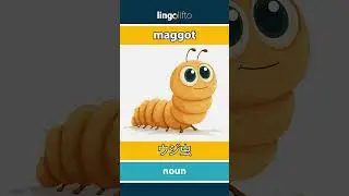 🇬🇧🇯🇵 maggot - ウジ虫 : learn English : 英語を学ぼう : vocabulary builder