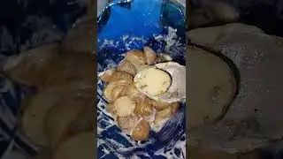 POTATO CHIVES AND SOUR CREAM || @gnewskietv #POTATOSALAD #shortvideos #salad ytshorts #fyp
