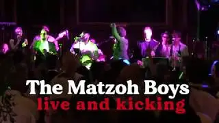 Jewish Wedding Band London  - The Matzoh Boys Live