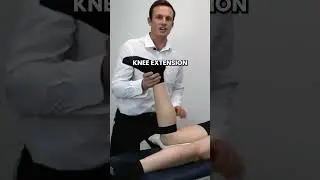 Knee Mobilisation Seatbelt Method