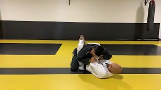Aula ao vivo com professor Marcelo Galdino. Parte 1 Lapela