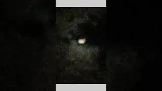 Thendral urangiya pothum / night moon view