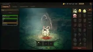 MIR M / Warrior Level 28 / Day 5