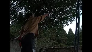 古民家DIY 邪魔な枝の伐採 #5