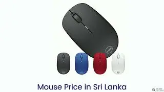 Mouse Price in Sri Lanka