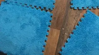 Is THIS Carpet Actually Worth Dying For? reviewing the Newest Temu Product!
