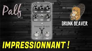 Drunk Beaver TRAINER TS-100: It's CRAZY what you can do with it!