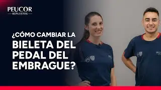 &iquest;C&oacute;mo cambiar la bieleta pedal de embrague de una Partner o Berlingo?