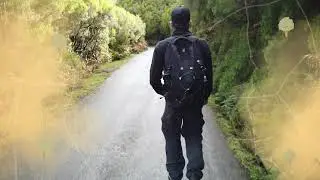 Madeira Levada do Risco e Levada das 25 Fontes
