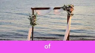 Story of a Wedding attended by all Zodiac Sign #zodiacsigns