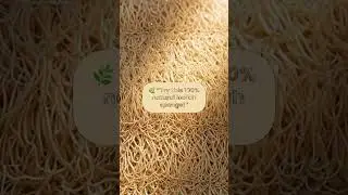 Eco-Friendly Kitchen Sponge 🌿 | Amazon Must-Have 2025