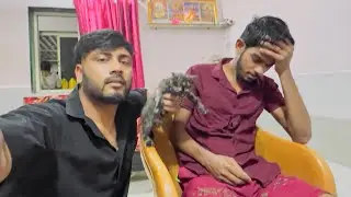 दादाच्या CAT ला काय झाल🥺 वहिनी वर चीडला दादा