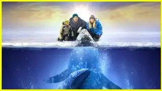 Three gray whales trapped under ice, minus 70 degrees Celsius #movie #recap @movierecapsofficial