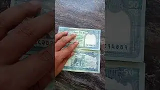 Nepali currency 50 rupees