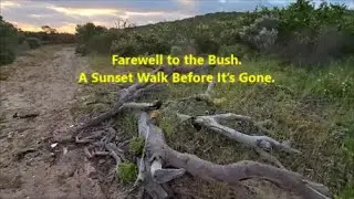 🌅Farewell to the Bush. A Sunset Walk Before It&rsquo;s Gone. Perth, Australia