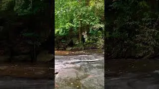 Random beauty of Sri Lanka. #nature #srilanka #green #waterfall #water #clean #destination #travel