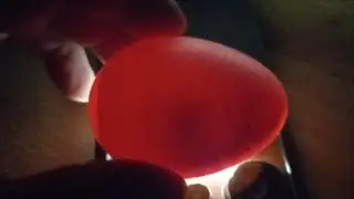 Incubaci&oacute;n de huevos de Pavo o guajolote en incubadora casera