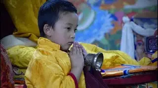 Yangsi - (The reincarnated One’s) - Thuksey Rinpoche’s || Gangtey Rinpoche || Gangtey Monastery