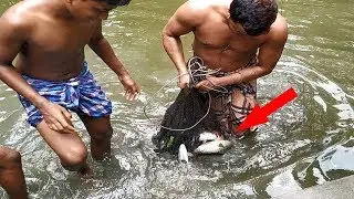 Net Fishing - Unique Net Trapping System Catch Fish - Big Fish Hunting By Cast Net