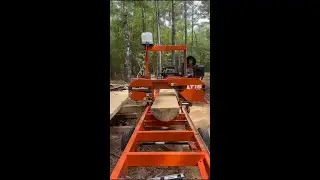 Turning Pine Logs into 2x4s with the Wood-Mizer LT15 &ndash; Quick Sawmill Action!