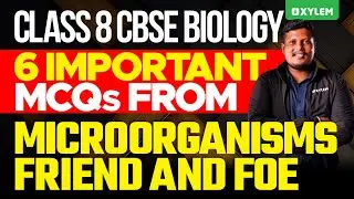Class 8 CBSE Biology | 6 Important Mcqs From Microorganisms Friend and Foe | Xylem Class 8 CBSE
