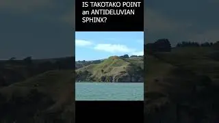 ARE THERE SPHINX's in NZ?
