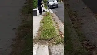 Crisp Sidewalk Lawn Borders and Sharp Grass Edge Trimming ✨ | #grasscutting #lawncare