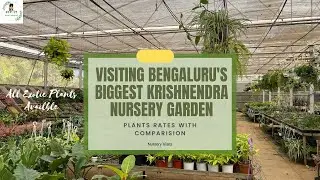 Visiting Bangalore's Biggest KRISHNENDRA Nursery Garden| Exotic plants Collections #bangalore
