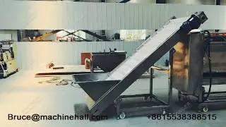 Potato Chips | French Fries Production Line Price Manufacturer in Longer Factory