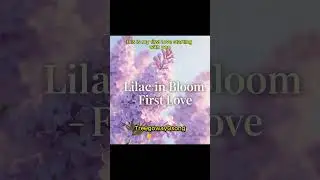 Lilac in Bloom &ndash; First Love&ndash; Original Song by treegoway-song (Official Audio)&rdquo;