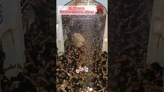 21 Ramzan Taboot Hazrat Ali a.s. Karbala Taalkatora Lucknow #taboothazratali #21ramzan #21ramazan