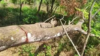 Sitio em Piracema - MG