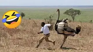 100 Most Funniest Videos Of The Year// You Laugh You Restart 