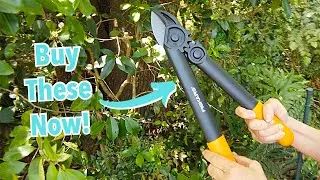 We Found the BEST Loppers for Lawn Care!