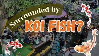 This Unique Caf&eacute; Is Surrounded by Koi Fish! | Saigon, Vietnam